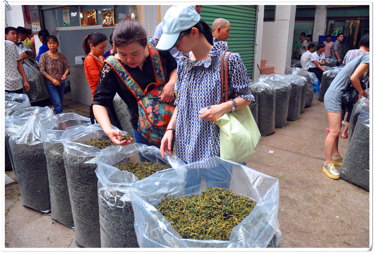 茶艺培训去哪里？天晟茶艺培训学校答福州茶艺培训学员说(图5)