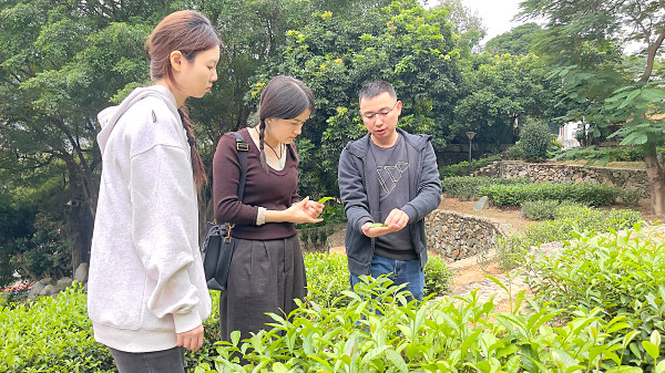第201期：参观茶叶大观园(图3)