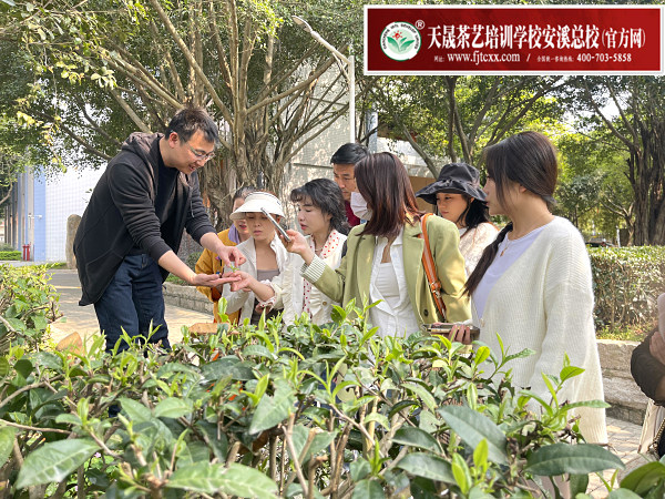 唐山茶艺培训学员问天晟茶艺培训学校：唐山茶艺培训班一般多少钱(图1)