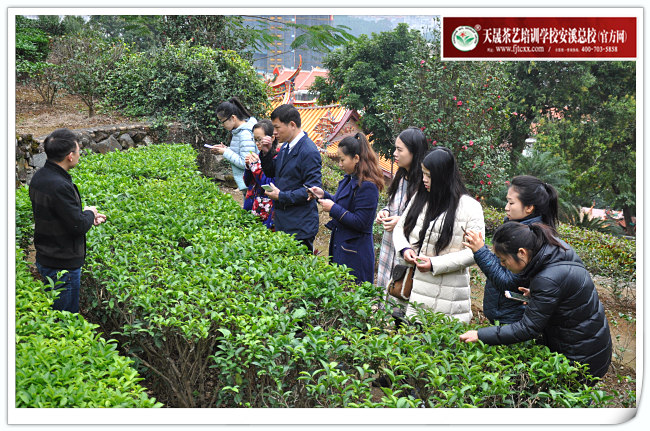 秦皇岛茶艺培训学员问天晟茶艺培训学校：秦皇岛茶艺培训哪家好？(图2)