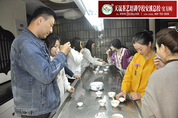 天晟茶艺培训学校中国茶学系统培训班是成人茶艺培训班吗？还是