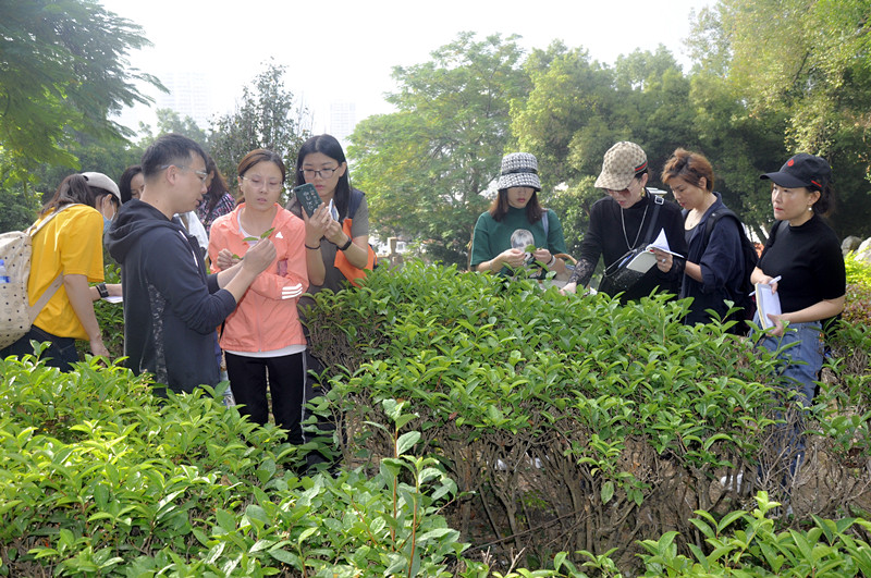 晋城茶艺培训学员问天晟茶艺培训学校：晋城哪里学茶艺最好？