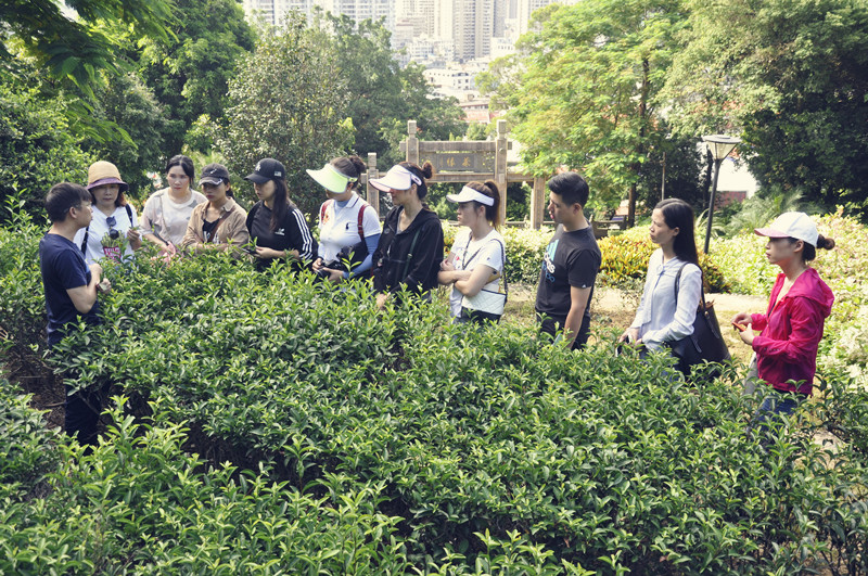 厦门评茶师考试哪里有