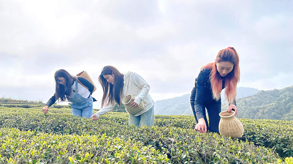 2025年1月茶艺师培训班哪里报名？天晟茶艺培训学校：探索茶艺之美，开启中国茶学之旅(图1)