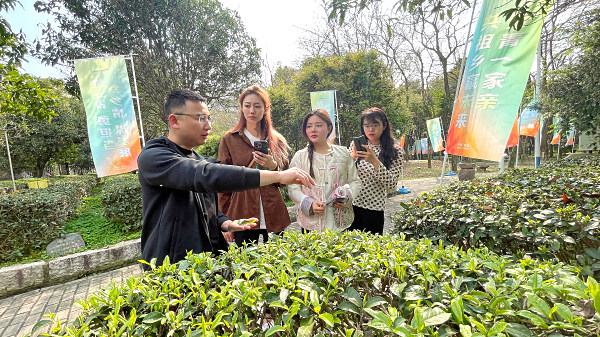 茶艺培训：一场与自我相遇的旅程(图3)
