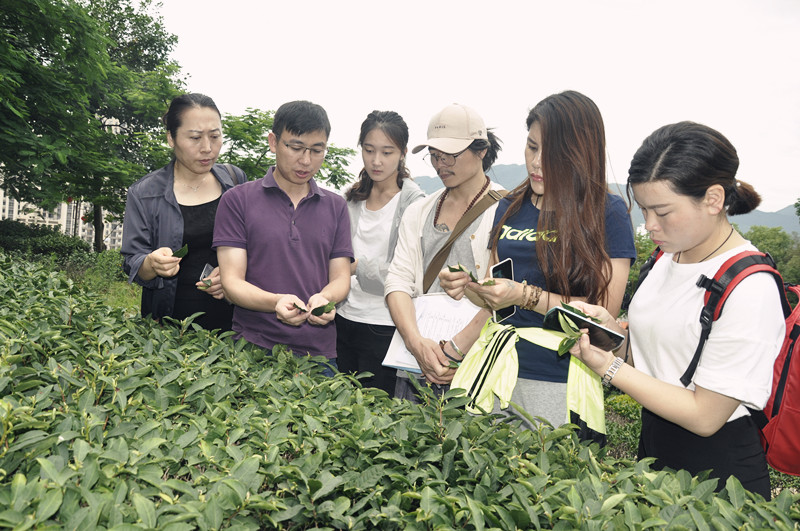 中国茶学系统培训班有参观大型茶企活动吗