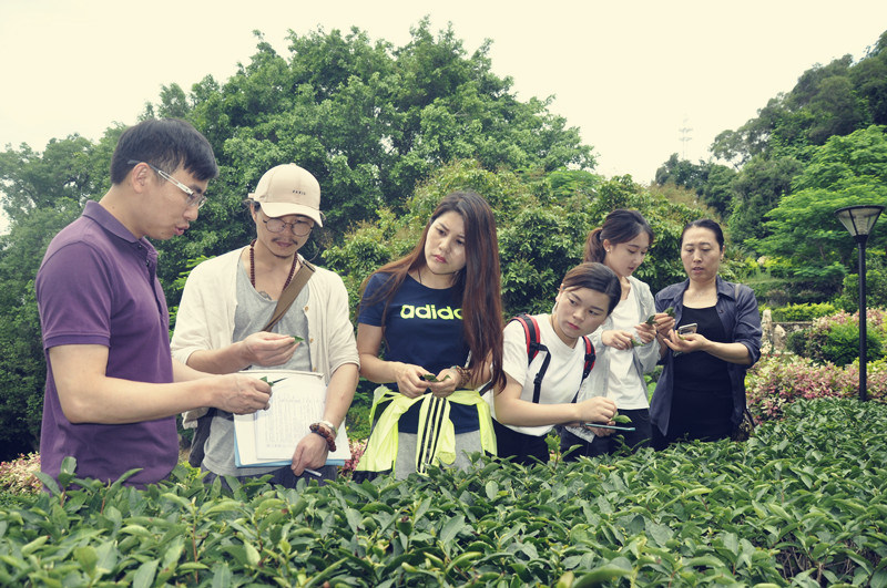 辽阳茶艺培训学员问天晟茶艺培训学校：辽阳哪有茶艺师培训班？(图3)