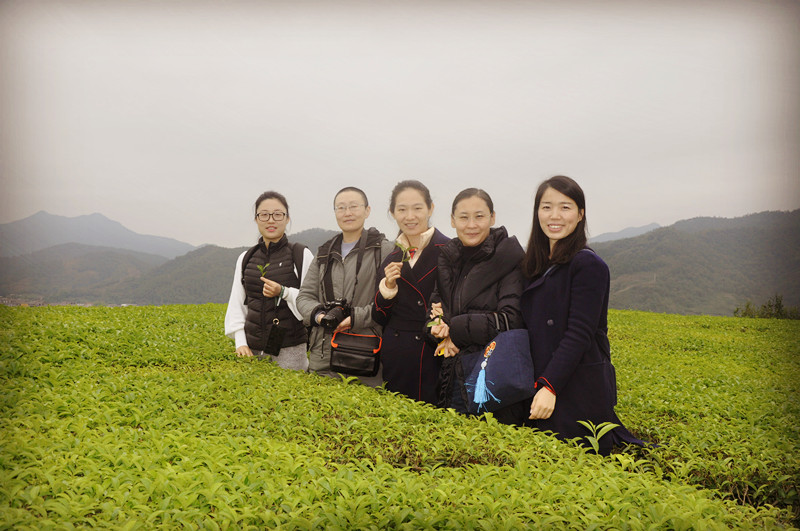 学茶艺哪里有培训