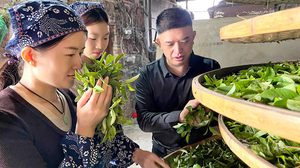 盘锦茶艺培训学员问天晟茶艺培训学校：盘锦茶艺师培训在哪里？(图2)