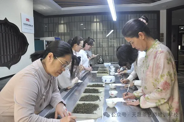 走进茶艺培训----茶艺师的“第二张脸”:以手为笔,绘茶艺之美(图5) 走进茶艺培训----茶艺师的“第二张脸”:以手为笔,绘茶艺之美(图5)