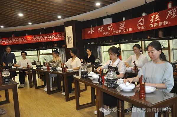 走进茶艺培训----茶艺师的“第二张脸”:以手为笔,绘茶艺之美(图8) 走进茶艺培训----茶艺师的“第二张脸”:以手为笔,绘茶艺之美(图8)