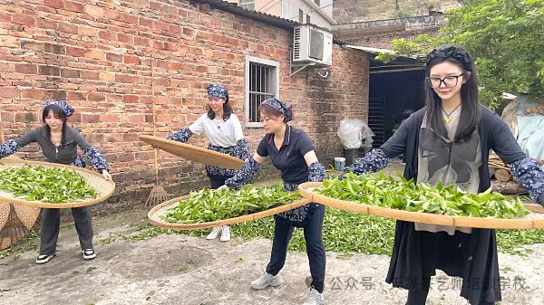 走进茶艺培训----茶艺师的“第二张脸”:以手为笔,绘茶艺之美(图11) 走进茶艺培训----茶艺师的“第二张脸”:以手为笔,绘茶艺之美(图11)