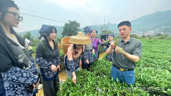 走进茶艺培训----茶艺师的“第二张脸”:以手为笔,绘茶艺之美(图10) 走进茶艺培训----茶艺师的“第二张脸”:以手为笔,绘茶艺之美(图10)