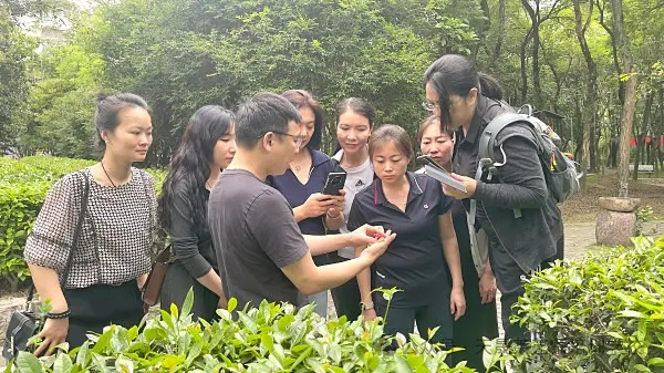 走进茶艺培训----茶艺师的“第二张脸”:以手为笔,绘茶艺之美(图12) 走进茶艺培训----茶艺师的“第二张脸”:以手为笔,绘茶艺之美(图12)