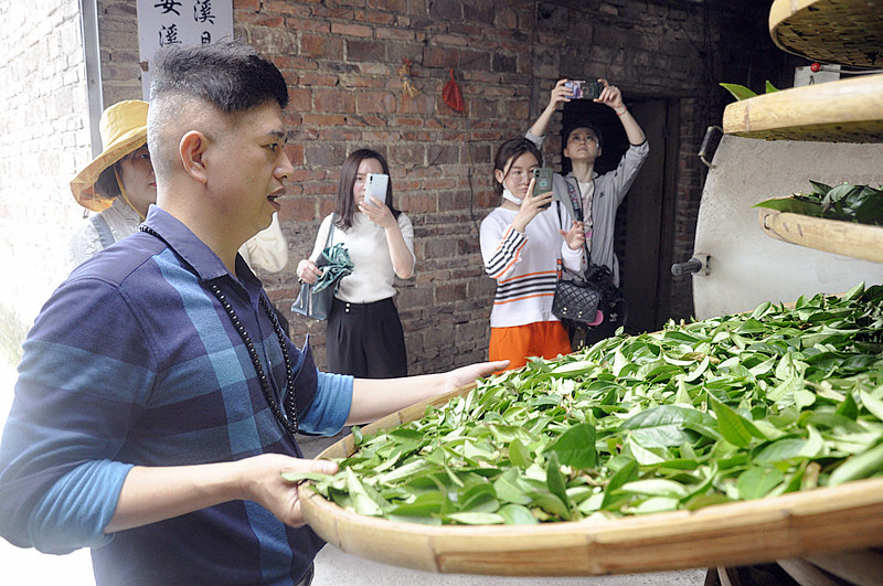 天晟茶艺培训学样有“茶文化培训”吗