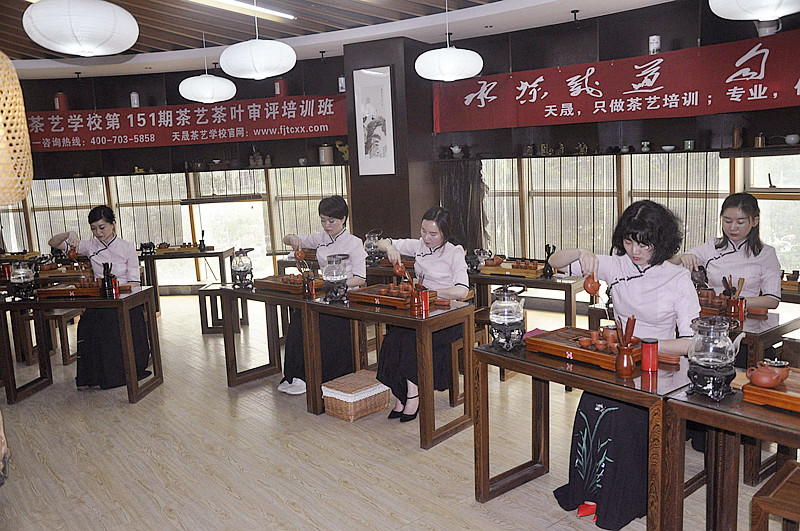 学茶艺哪里有培训