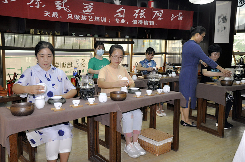 50岁还能学茶艺吗女