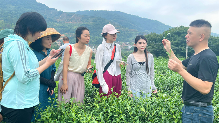 茶艺师资格证好考吗