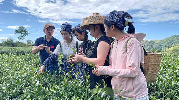 天晟茶艺培训学校官网如何报名茶艺师证?