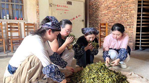 厦门茶艺师培训哪家价值高?