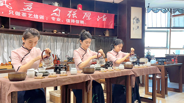 深圳哪里有学茶艺培训