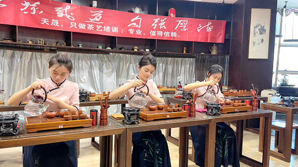 茶艺培训新手入门课程