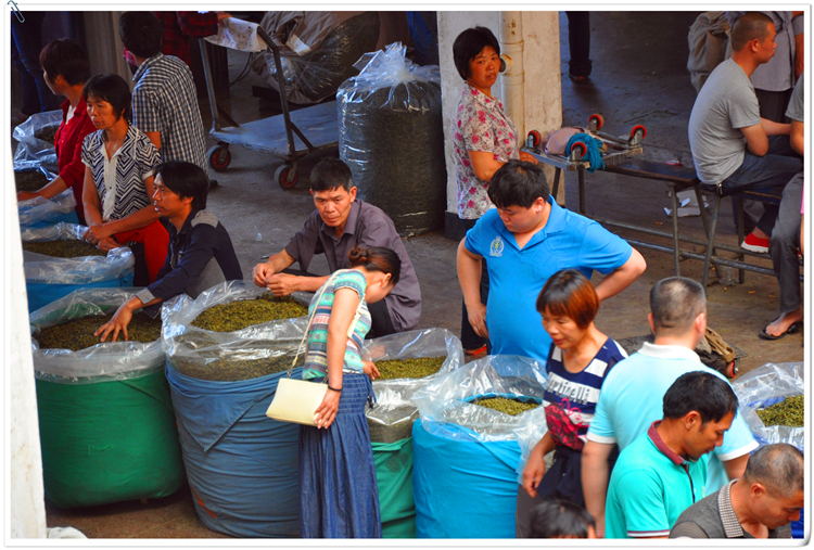 天晟茶艺培训学校是否有茶叶国际标准与认证课程？