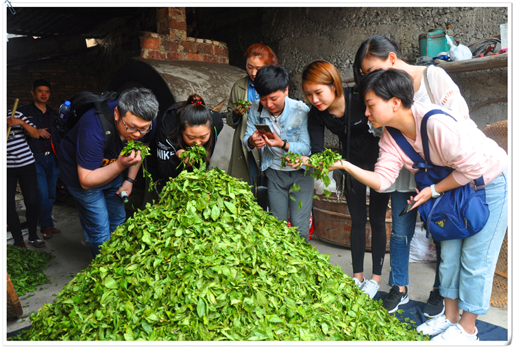 天晟茶艺培训学校老师是否持有高级茶艺师、评茶员等专业证书？