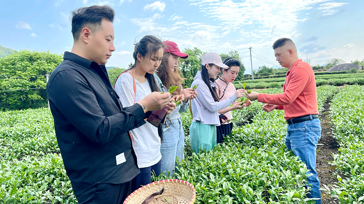 天晟茶艺培训学校10天茶艺师培训班火热了吗?(图4)