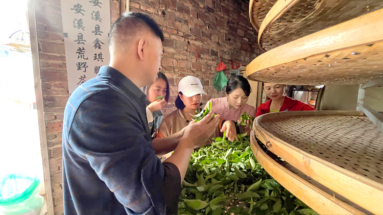 天晟茶艺培训学校是否有茶叶审评与鉴别课程？(图2)