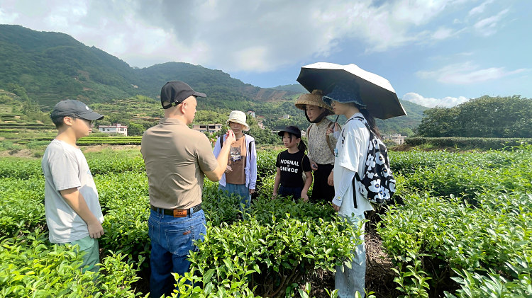 天晟茶艺培训学校是否有茶艺与健康养生结合的课程?(图1) 天晟茶艺培训学校是否有茶艺与健康养生结合的课程?(图1)