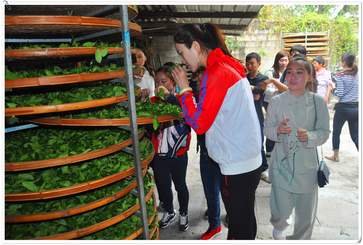 茶道培训课程，学唐煎宋点还是茶道吗? 显然不是(图1)