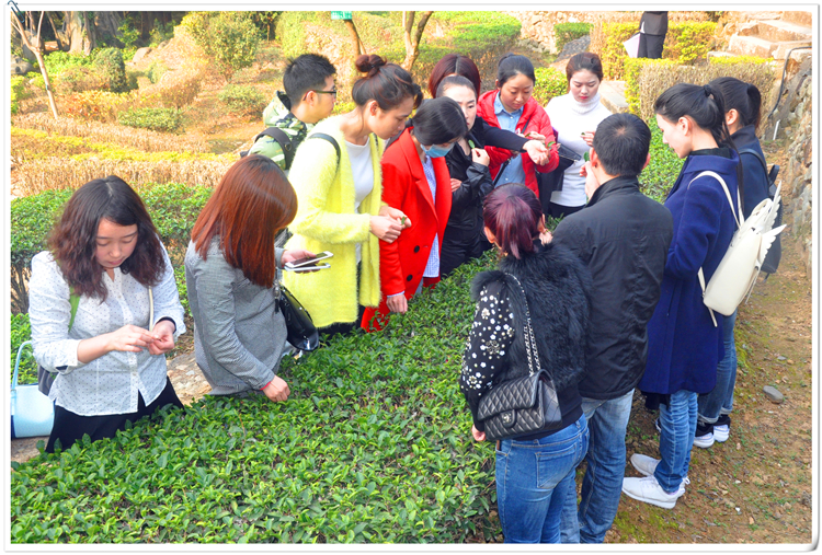 茶道培训班一般多少钱? 12980元学当代功夫，其他学过去花架子(图1)