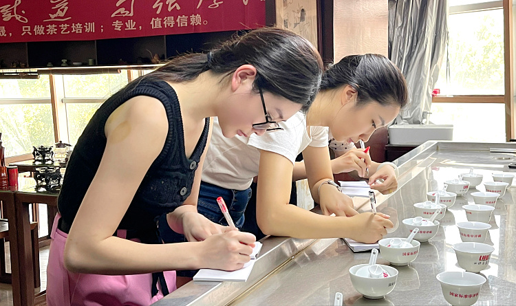 22025-2026年中国茶道师培训班于安溪中国特产城广场B座2楼开班(图2)
