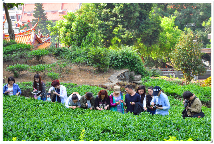 天晟茶艺培训学校只做一个班吗?(图3)