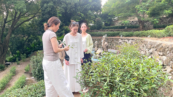 第212期：参观茶叶大观园(图2)