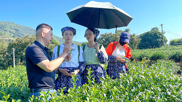 第212期：实践体验安溪乌龙茶制作