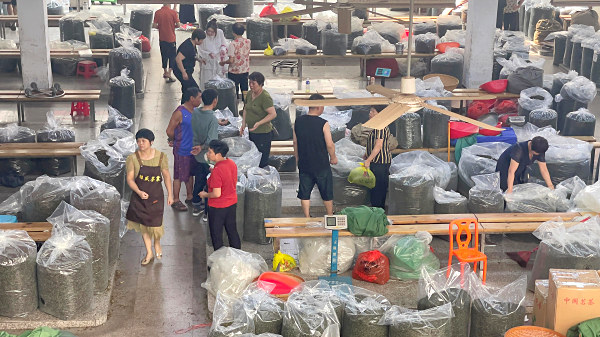 第212期：深入茶叶市场了解行情及闽北乌龙茶的加工与审评