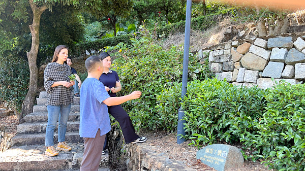 第213期：参观茶叶大观园(图2)