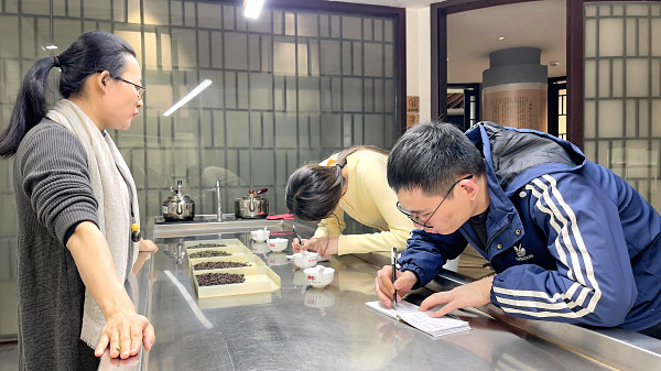 第214期：铁观音香型分类与审评(图2)