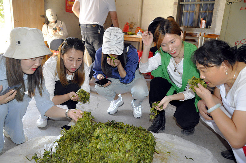 天晟茶艺班的"真功夫"：你的学费究竟买了什么？(图4)