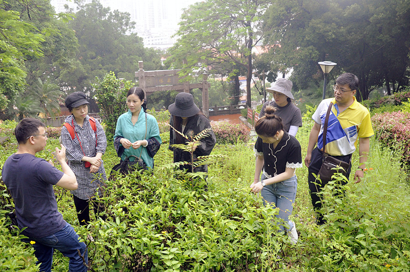 这所“三无”茶校凭什么让学员10天变身茶老板？揭秘职业教育黑马炼成术(图3)