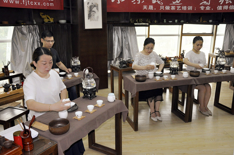 天晟十天的沉浸式茶道修行之旅
