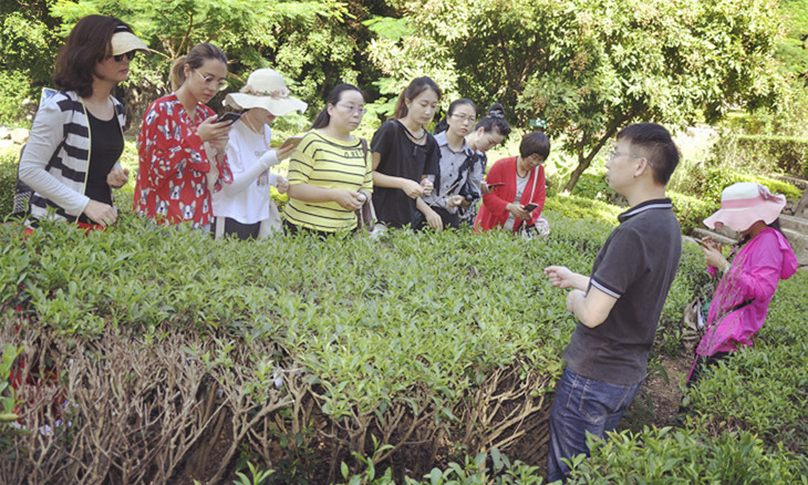 茶艺培训招生简章(图8)