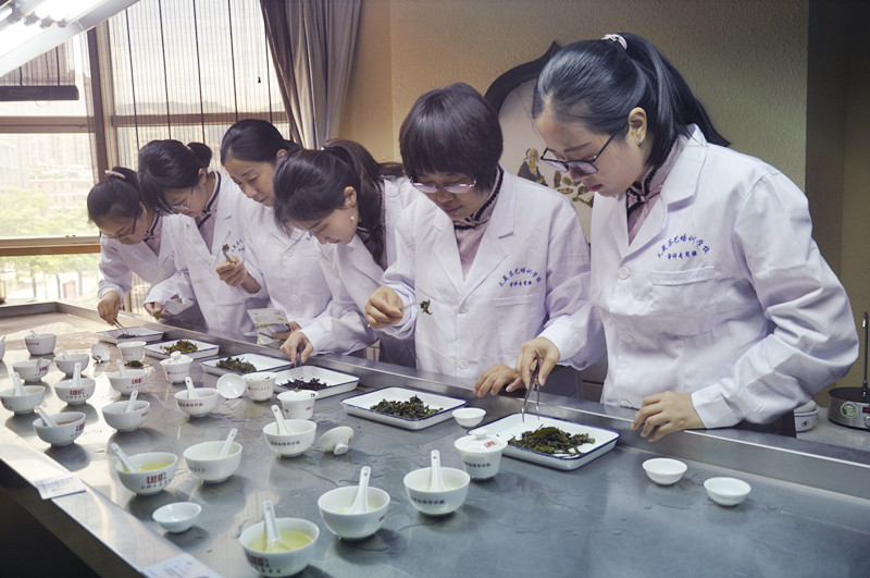 茶艺培训招生简章(图13)