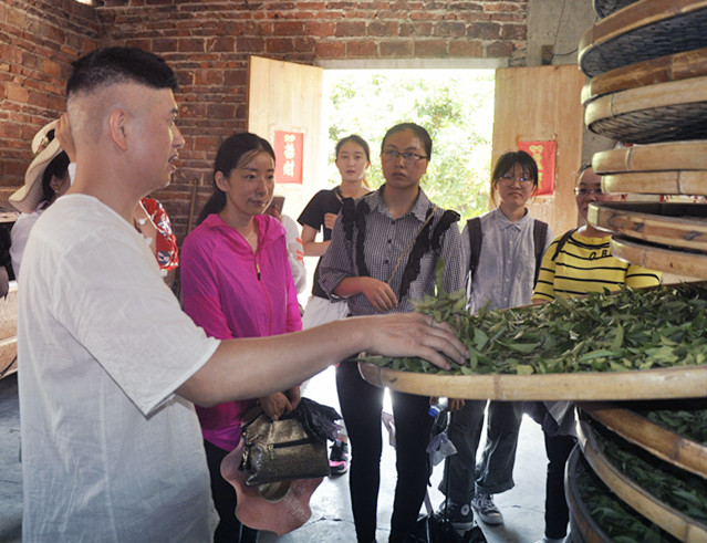 第218期天晟中国茶学系统培训班2026年4月11日正式上课（图）(图11)