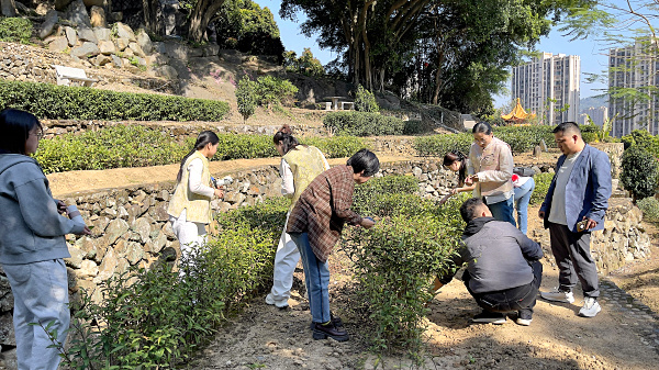 第217期：参观茶叶大观园(图2)