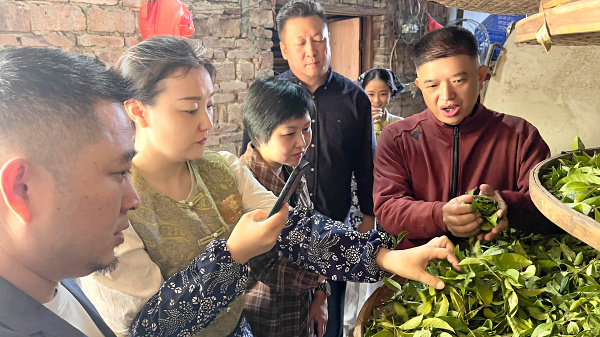 第217期：实践体验安溪乌龙茶制作(图3)