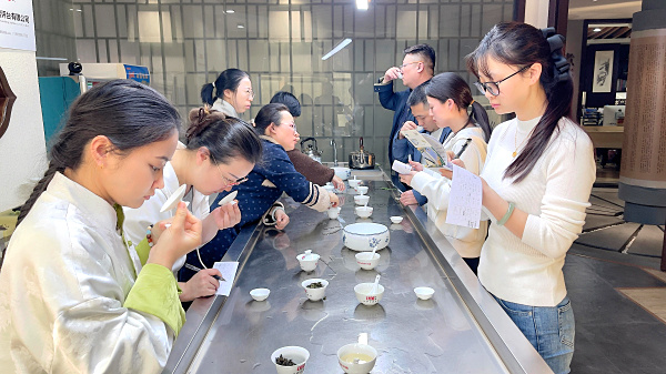 第217期:绿茶的加工与审评、绿茶实践审评(图3) 第217期:绿茶的加工与审评、绿茶实践审评(图3)