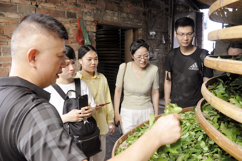天晟茶学系统培训班‘全面多元化教学’(图6)